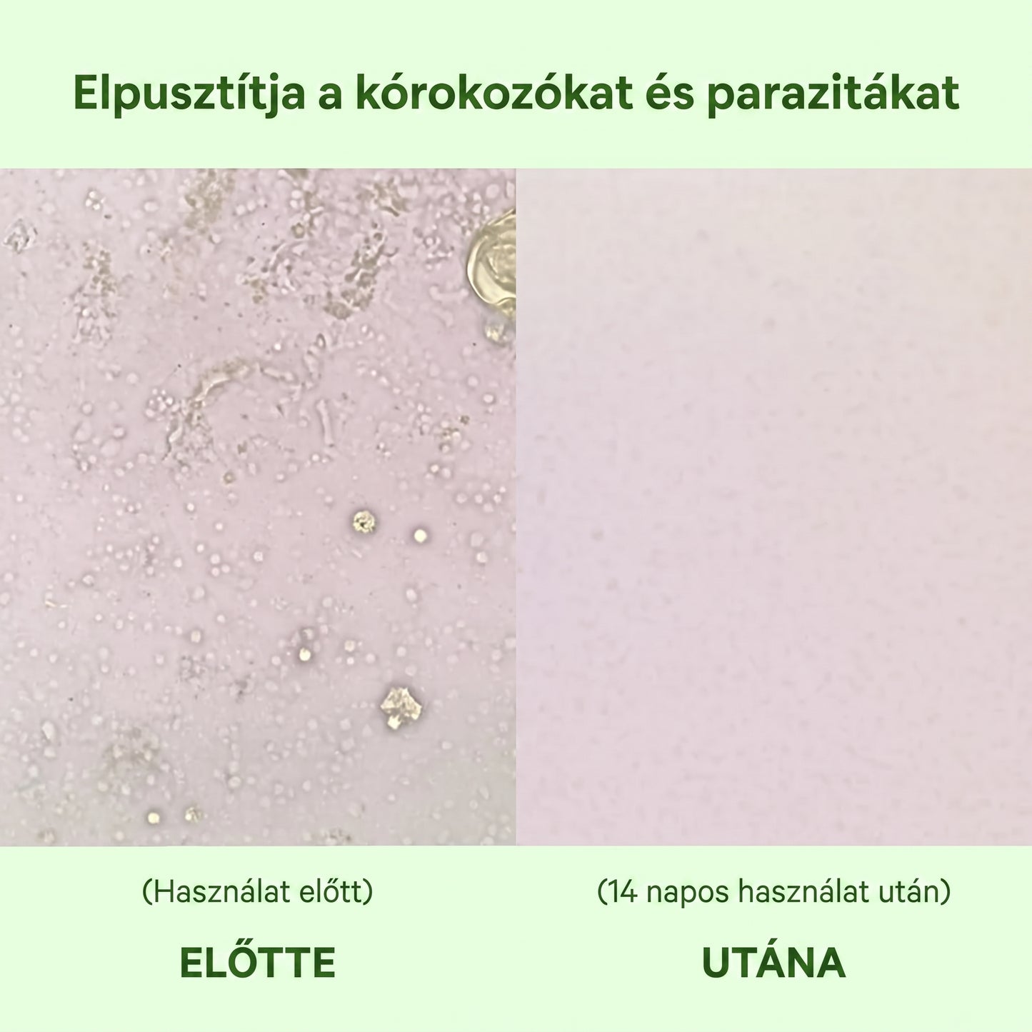 Zrevnika Oregánó — 1+1 INGYEN (6 hónapos kúra)